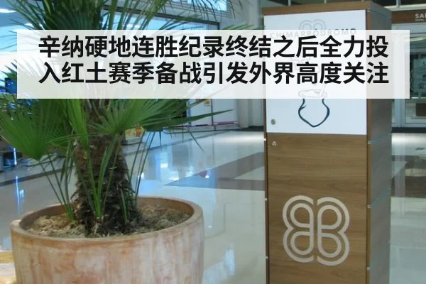 辛纳硬地连胜纪录终结之后全力投入红土赛季备战引发外界高度关注